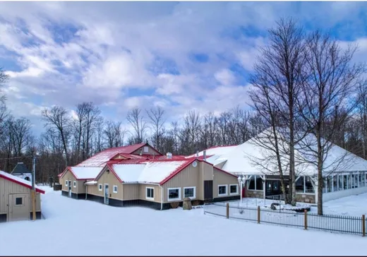 Propriété commerciale à vendre - 396 Ch. Hallé O., Brigham, J2K4J5