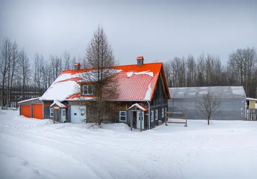 Commercial Property for sale - 31 Rue Lajeunesse, Kingsey Falls, J0A1B0