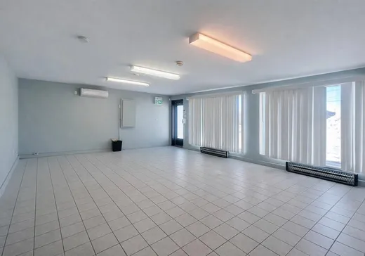 Condo Commercial à vendre - 392 Rue Chicoine, Vaudreuil-Dorion, J7V 7E4