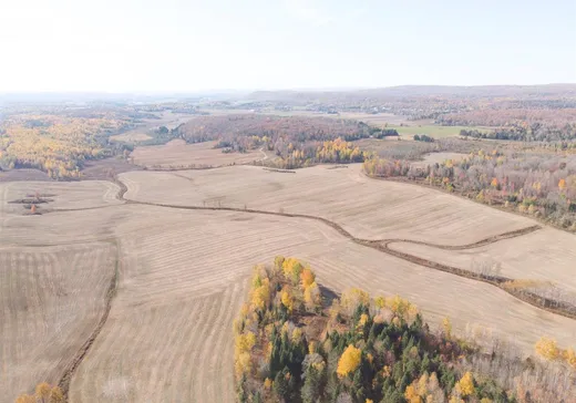 Ferme à vendre - 3468-3816 Route Eugène-Trinquier, Mont-Laurier, J9L 0R2