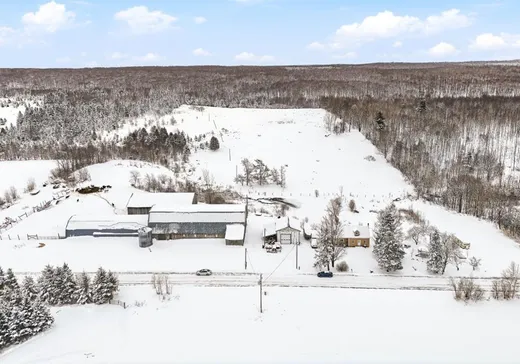 Ferme à vendre - 950 Ch. Brookbury, Dudswell, J0B1G0