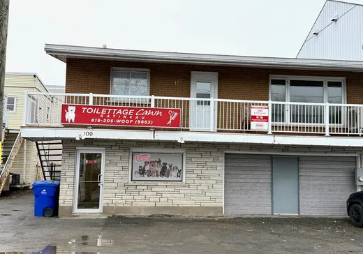 Commercial Property for sale - 109 Boul. St-Joseph, Hull, J8Y3W7