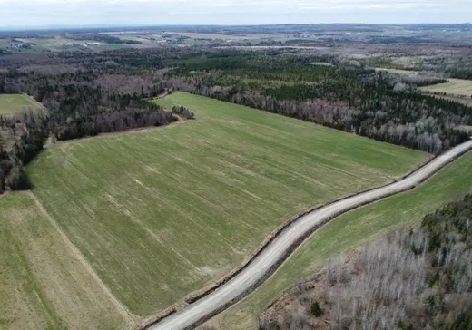 Ferme à vendre - 142-144 2e-et-3e Rang, Sainte-camille, J0A 1G0