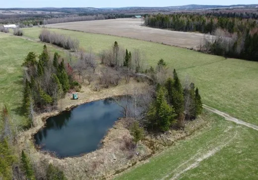 Ferme à vendre - 142-144 2e-et-3e Rang, Sainte-camille, J0A 1G0