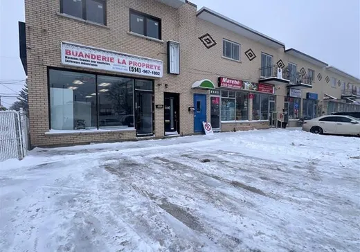 Commercial Property for sale - 8081Z Av. André-Ampère, Montreal (Downtown), H1E3G9