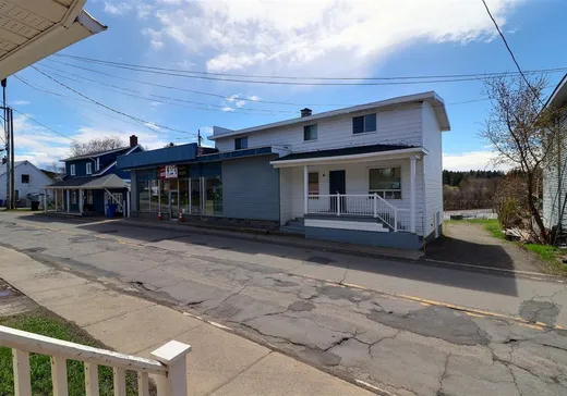 Propriété commerciale à vendre - 251 Boul. Bégin, St-Pacome, G0L 3X0