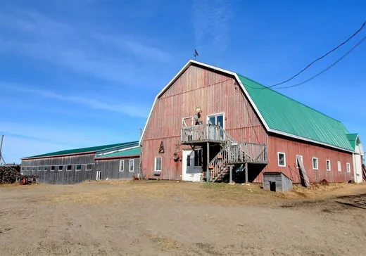 Propriété commerciale à vendre - 300Z Route Pronovost, Normandin, G8M3R6