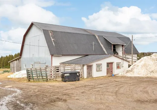 Ferme à vendre - 340V 8e Rang, Armagh, G0R 1A0