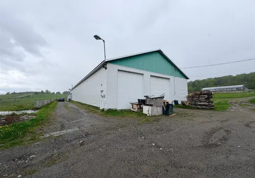 Bâtiment Industriel à vendre - 788 4e Rang S., Saints-Anges, G0S 3E0