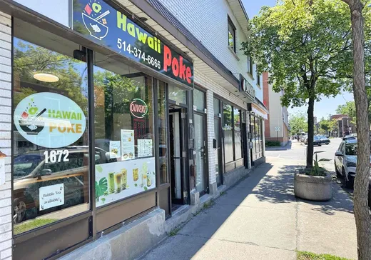 Commercial Property for sale - 1672 Rue Bélanger, Montreal (Villeray), H2G1B2