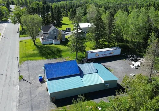 Propriété commerciale à vendre - 172 Rue Principale, Saint-Luc-de-Bellechasse, G0R 1L0