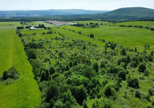 Farm for Sale - 43 11e Rang, Notre-Dame-de-Ham, G0P 1C0