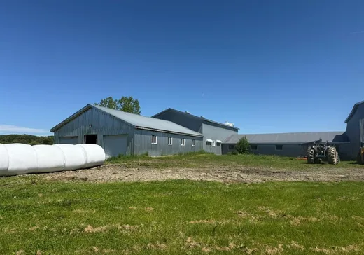 Farm for Sale - 43 11e Rang, Notre-Dame-de-Ham, G0P 1C0