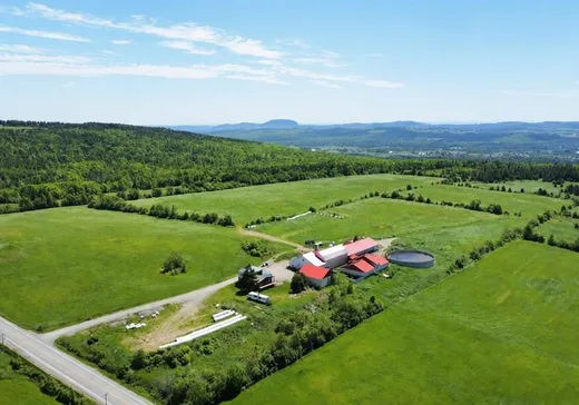 Farm for Sale - 5190 Rue de l'Église, Thetford-Mines, G6H 3C2