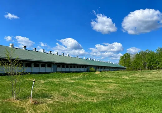 Ferme à vendre - 468 Ch. Principal, Normandin, G8M4P7