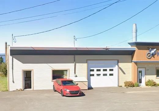 Bâtiment Industriel à vendre - 539 Rue Notre-Dame O., Saint-Pierre-de-Lamy, G0L 4K0