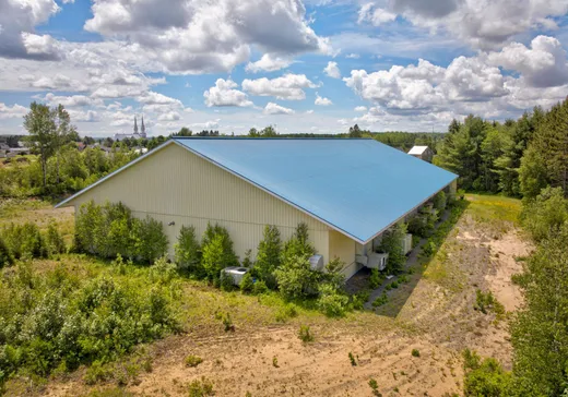 Propriété commerciale à vendre - 241 Rue Principale, Trois-Rives, G0X 2C0