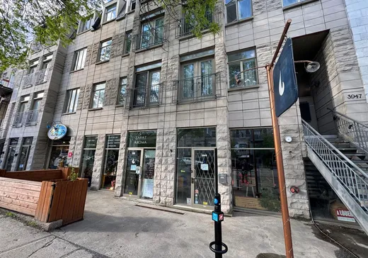 Condo Commercial à vendre - 3949-3951 Rue St-Denis, Montréal (Plateau-Mont-Royal), H2W2M4