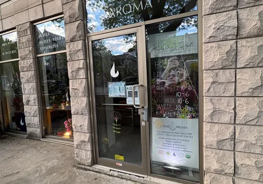 Condo Commercial à vendre - 3949-3951 Rue St-Denis, Montréal (Plateau-Mont-Royal), H2W 2M4