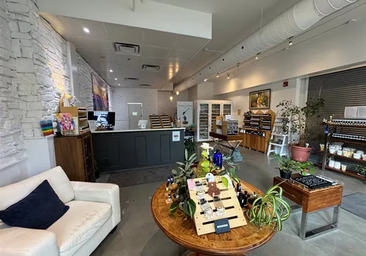 Condo Commercial à vendre - 3949-3951 Rue St-Denis, Montréal (Plateau-Mont-Royal), H2W 2M4