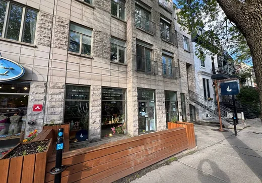 Condo Commercial à vendre - 3949-3951 Rue St-Denis, Montréal (Plateau-Mont-Royal), H2W 2M4