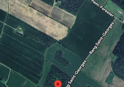 Farm for sale - 234 Rg St-Georges, Saint-Édouard-de-Napierville, J0L1Y0