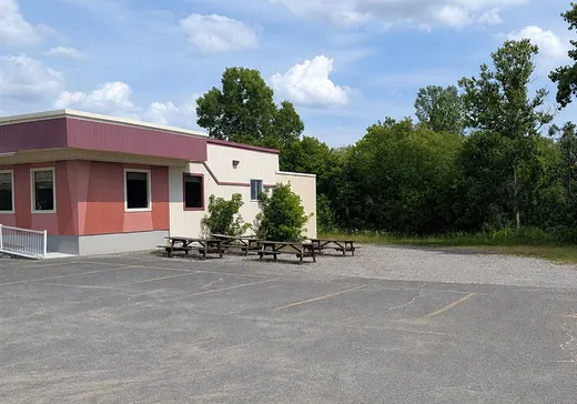 Commercial Property for Sale - 382 Rue Craig, Pointe-Claire (Montreal Island), J0B 2H0