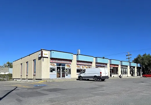 Propriété commerciale à vendre - 6955-6995 Rue Jarry E., Montréal (Saint-Léonard), H1P 3B5