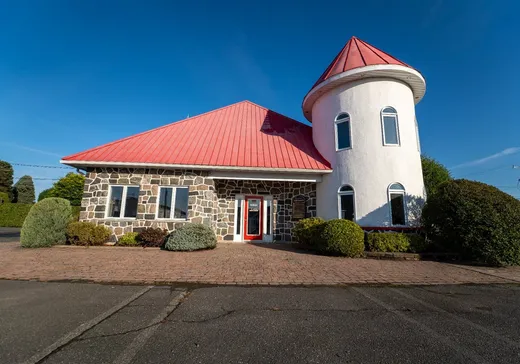 Propriété commerciale à vendre - 1650Z-1670Z Rg St-Pierre, Saint-Zéphirin-de-Courval, J0G 1V0