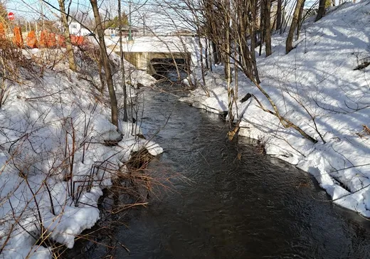 Propriété commerciale à vendre - 199 Rue Principale O., Dudswell, J0B 2L0