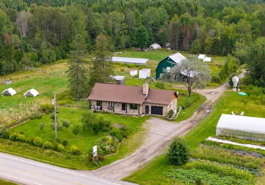 Ferme à vendre - 870 Route 108, Bury, J0B1J0