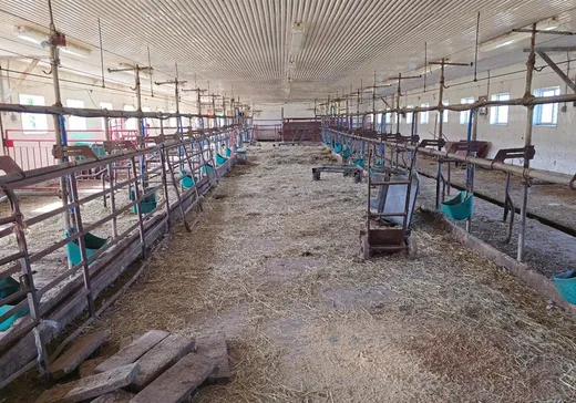 Ferme à vendre - 376 Ch. Jordan Hill, Cookshire-Eaton, J0B1M0