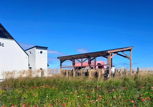 Propriété commerciale à vendre - 650 Av. du Phare O., Matane, G4W 3B5