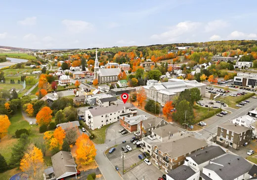Commercial Property for Sale - 788 Av. du Palais, Saint-Joseph-de-Beauce, G0S 2V0