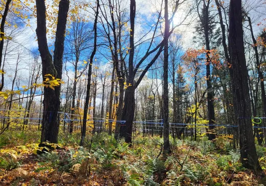 Propriété commerciale à vendre - 512 Ch. de la Yard, Lac-Mégantic, G0Y 1E0