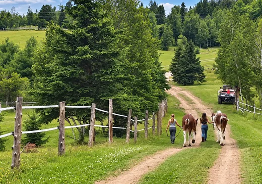 Ferme à vendre - 122 Route 204 E., Saint-Adalbert, G0R2M0