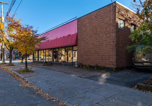 Commercial Property for sale - 3240Z Rue Dandurand, Montreal (Rosemont–La Petite-Patrie), H1Y1V5