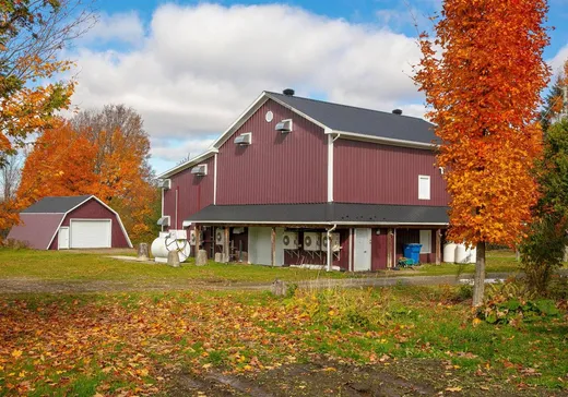Ferme à vendre - 471 Ch. Crossbury, Bury, J0B 1J0