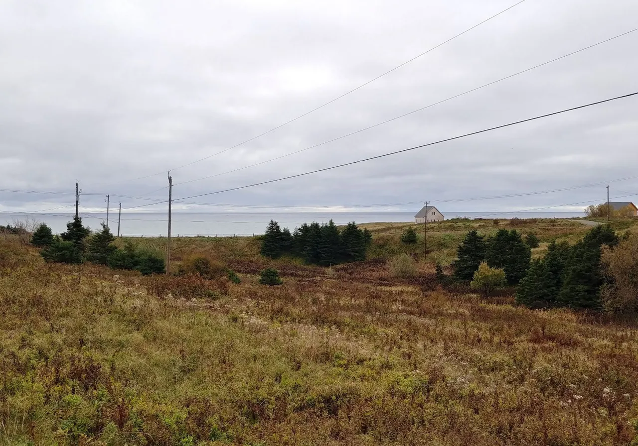 Terrain à vendre -  Ch. Bourgeois, Iles de la Madeleine, G4T 0J9