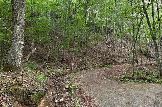 Land for Sale -  Ch. Desgroseillers, Mont-Tremblant, J0T 1H0