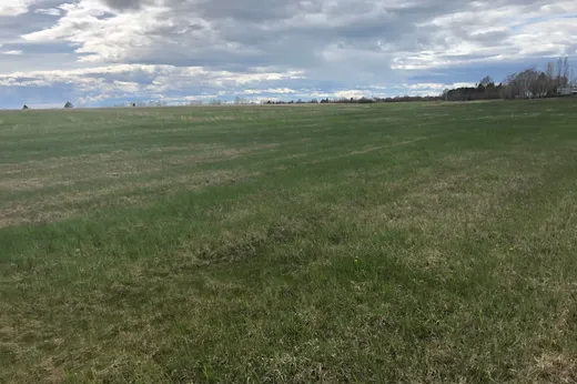Land for sale -  Rue de l'Église, Saint-Antonin, G0L2J0