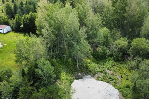 Terrain à vendre - 237 Route St-Paul S., Preissac, J0Y 2H0
