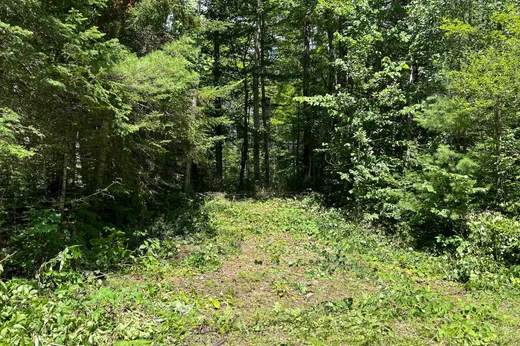 Terrain à vendre -  Ch. Caron, Notre-Dame-de-Pontmain, J0W1S0