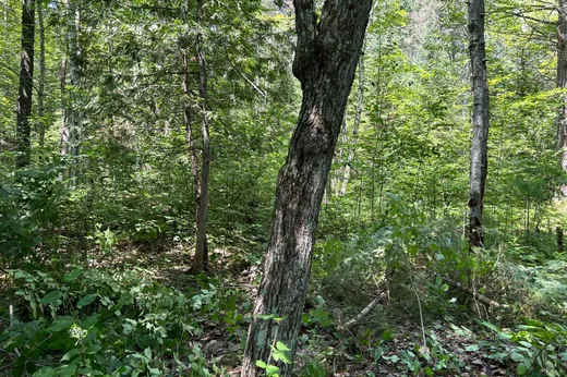 Terrain à vendre -  Ch. Caron, Notre-Dame-de-Pontmain, J0W 1S0