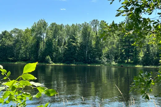 Terrain à vendre -  Ch. Caron, Notre-Dame-de-Pontmain, J0W 1S0