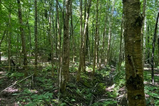 Terrain à vendre -  Ch. du Castor, Brownsburg-Chatham, J8G 2R3