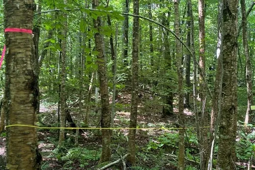 Terrain à vendre -  Ch. du Castor, Brownsburg-Chatham, J8G 2R3