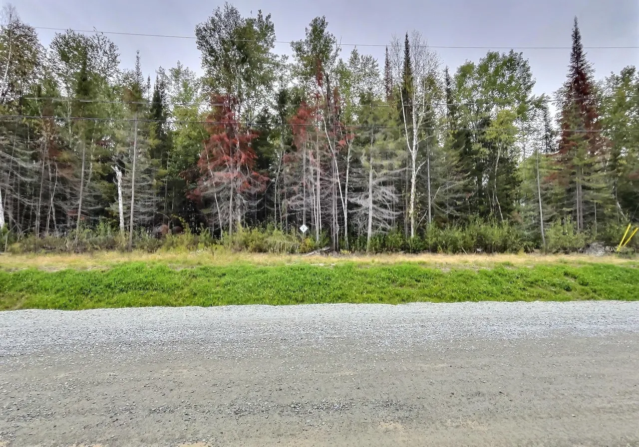 Land for Sale - 24 Rue Groleau, Val-d'Or, J9P 4P5
