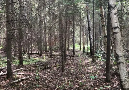 Land for Sale - 24 Rue Groleau, Val-d'Or, J9P 4P5