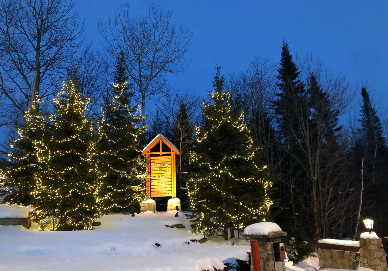 Terrain à vendre -  Rue des Géraniums, Val David, J0T 2N0